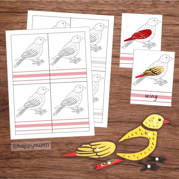 Montessori bird anatomy learning set featuring booklet pages and a wooden bird puzzle with removable parts for hands-on exploration of bird anatomy. Ideal for Montessori-inspired early childhood education.
