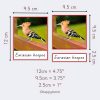 Montessori Birds of Europe three-part cards with Eurasian hoopoe. Card dimensions: 12 cm x 9.5 cm full card, 9.5 cm square image, and 2.5 cm label section. Ideal for Montessori education, bird identification, and early learning activities.