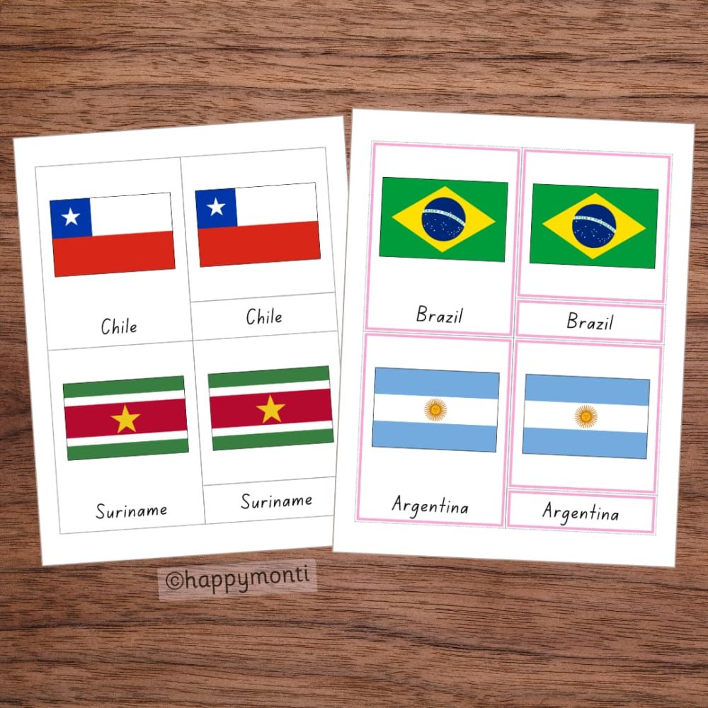 Montessori Flags of South America 3-Part Cards for teaching geography. Features flags of Chile, Suriname, Brazil, and Argentina with matching labels for sorting and learning. Perfect for cultural studies and Montessori-inspired education.