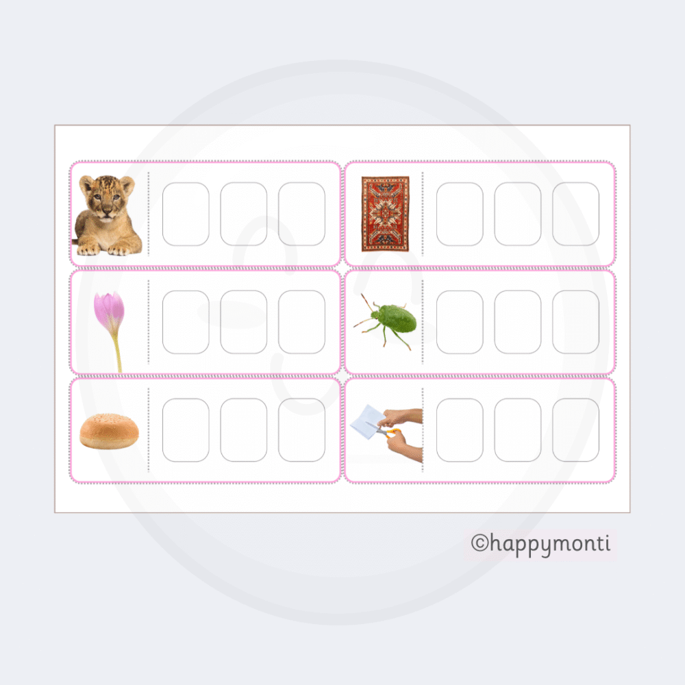 Montessori Pink Series CVC spelling word cards with real-life images and blank letter boxes for early phonics, handwriting, and spelling practice.