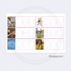 Montessori Pink Series CVC spelling word cards with real-life images and blank letter boxes for early phonics, handwriting, and spelling practice.